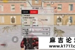 PUBG四服mk14公益直装（容器）